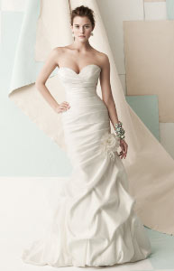 Jean's Bridal: For your bride's dress and the rest of your wedding party, too!