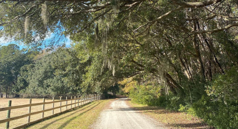 A photo of Salty Oak Farm in McClellanville, SC.